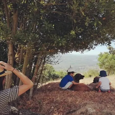 Holiday home Casa Da Moiroa *