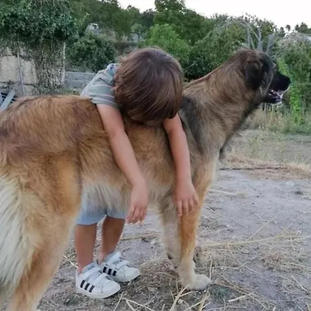 Casa Da Moiroa Holiday home Sendim (Viseu)